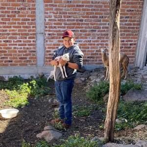 Meet your Posher, Junior